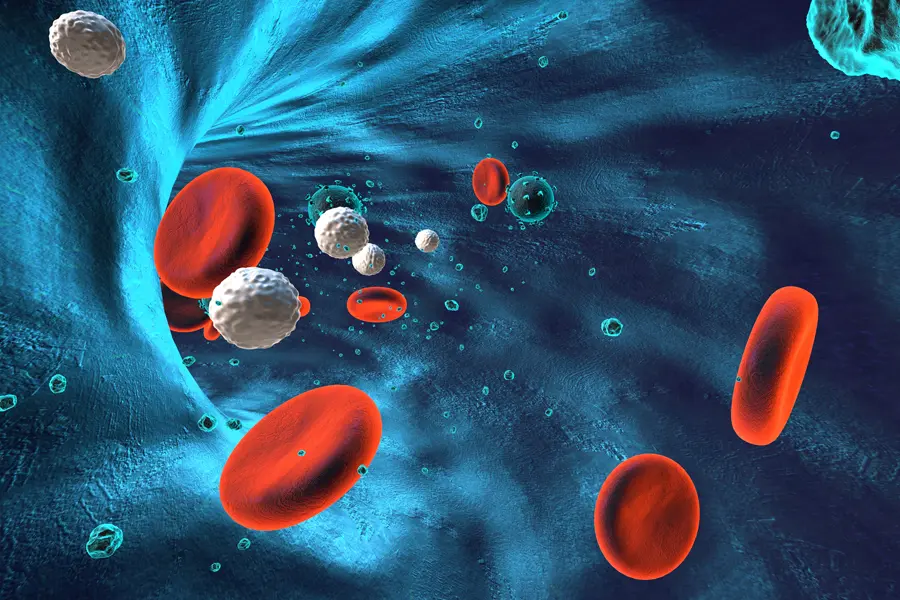 B-Complex-IV-Drip-Clinic Illustration of Blood cells in a human vein. Schedule B Complex IV Therapy from Nonkulie Dladla, M.D. in Manhattan.