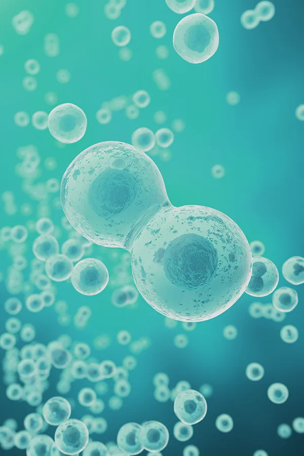 PDO-Threads-Doctor An older African-American woman in a gray blouse looks up and smiles, happy with the beautiful results of her PDO thread facelift treatment from Nonkulie Dladla, M.D. in Manhattan.