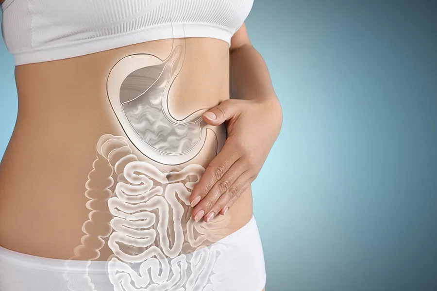 Gut-Health-Doctor Close up of the midriff of a woman with white underwear and an illustration of the digestive system superimposed over the image. Get help for digestive issues and gut health from Nonkulie Dladla, M.D. in Manhattan.