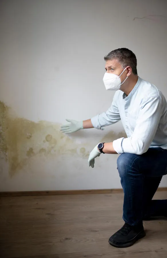 Mold-and-Mycotoxin-Treatment A building professional in a protective mask points out mold damage on a wall. Get treatment for mold and mycotoxin illness from Nonkulie Dladla, M.D. in Manhattan.