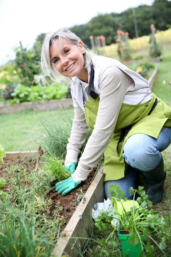 Rheumatoid-Arthritis-Treatment A mature woman bending down working on her garden happily after successful rheumatoid arthritis treatment from Nonkulie Dladla, M.D. in Manhattan.